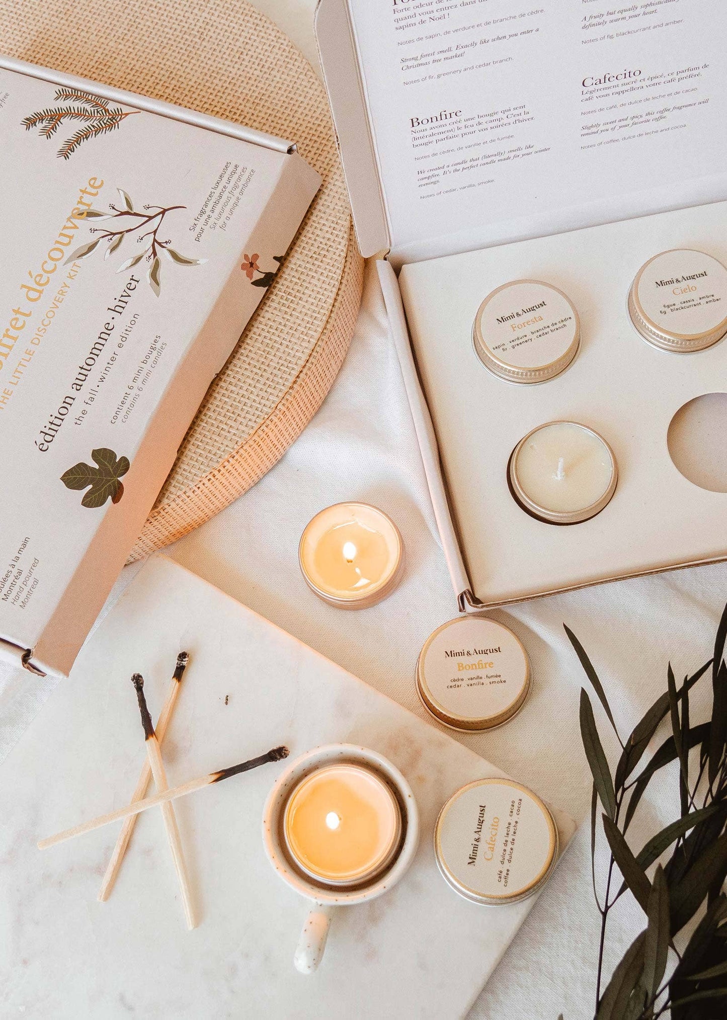 FALL/WINTER DISCOVERY KIT