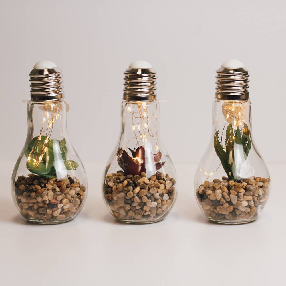 SUCCULENTS LIGHT BULB