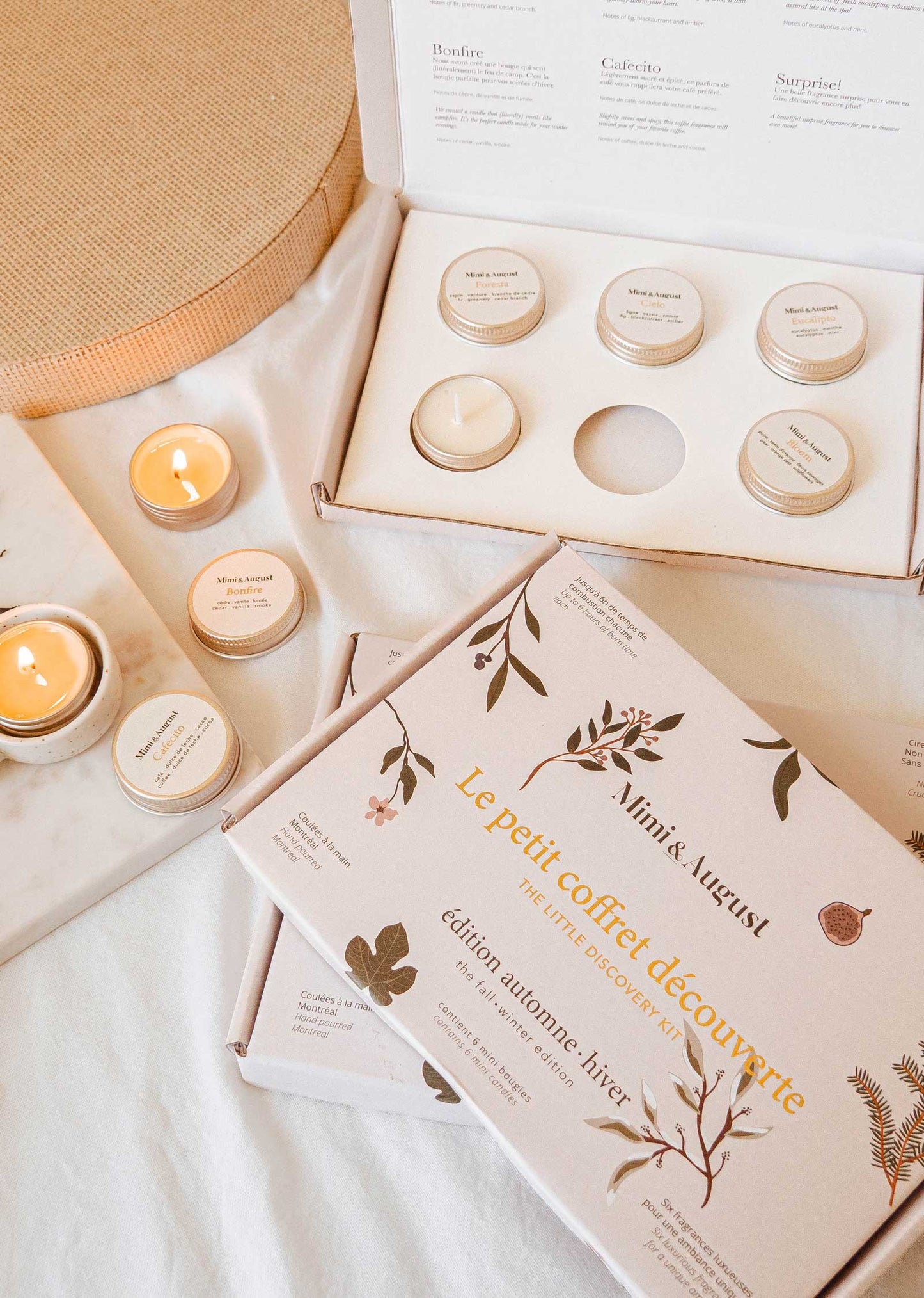 FALL/WINTER DISCOVERY KIT
