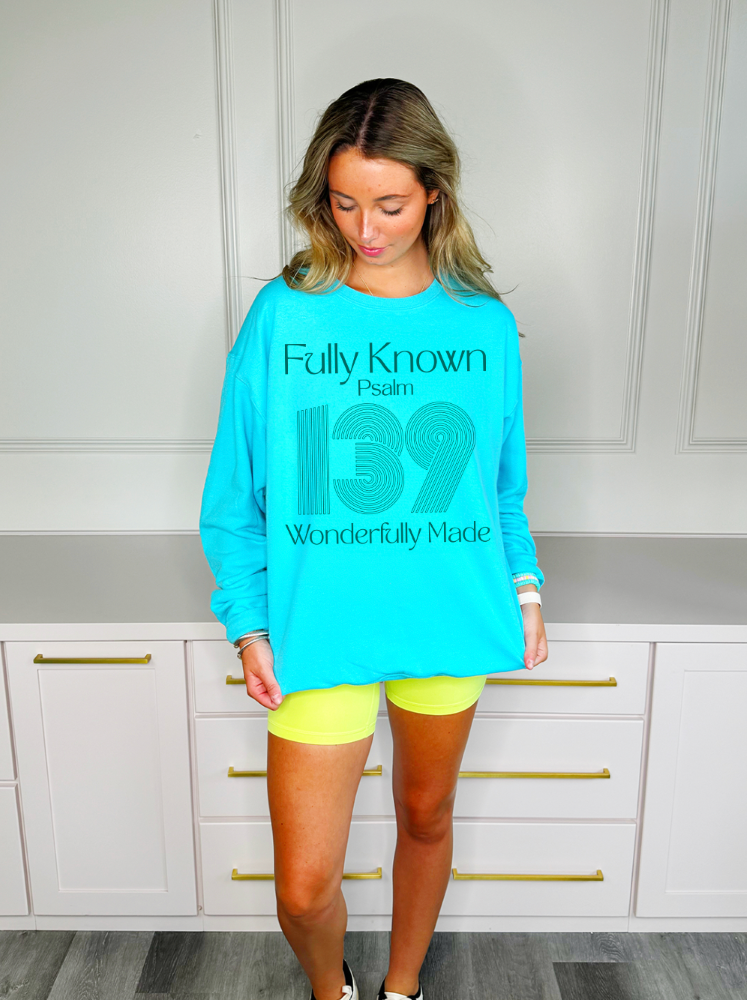 fully known sweatshirt aqua